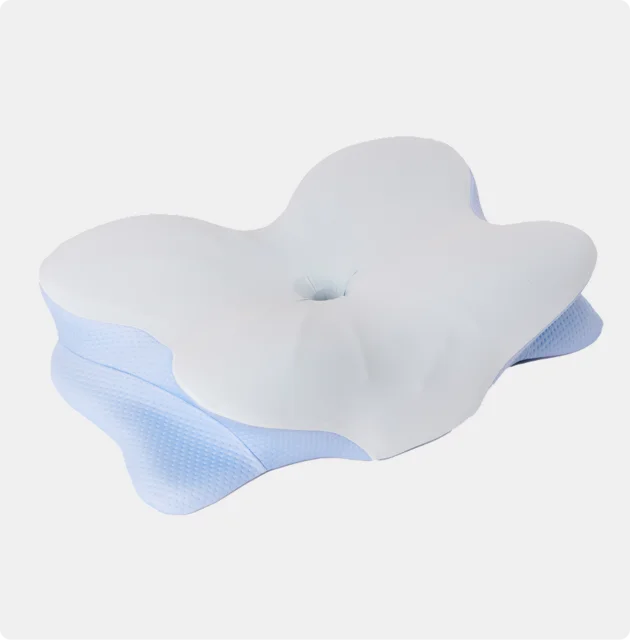 Derila Ergo Neck Support Pillow